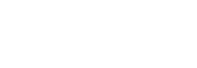 r4 technic Logo